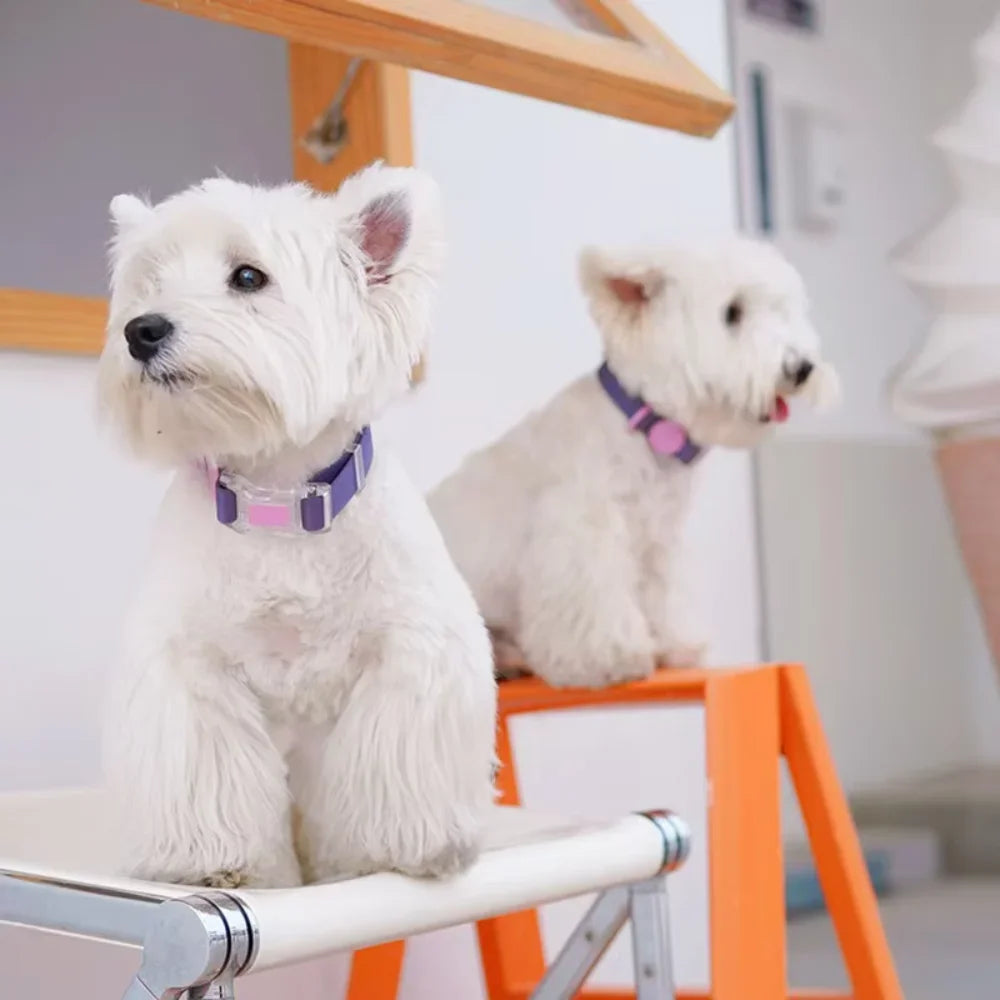 Waterproof Dog CollarsEasily Protect  pet from Moisture and Dirt  Adjusting The Size to Suit Medium, Large, and Small Dogs Pets