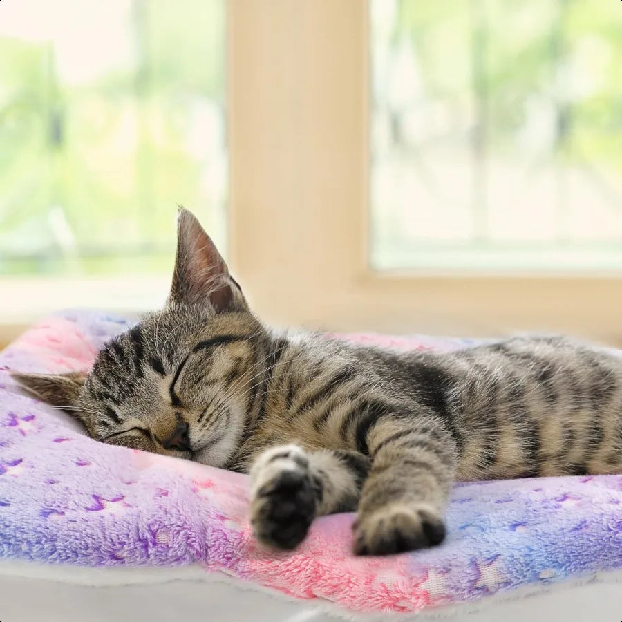2 Pack Cat Blanket for Indoor Cat Warm Calming Kitten Puppy Beds for Anxiety and Str Washable Small Dog Mat for Crate Fuzzy Pet