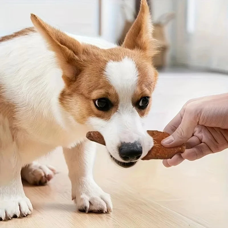 12.7oz Natural Jerky Dog Treat Chewable Protein Snacks with Chicken Turkey Salmon Beef Duck Dental Health Treat for All Dog Size