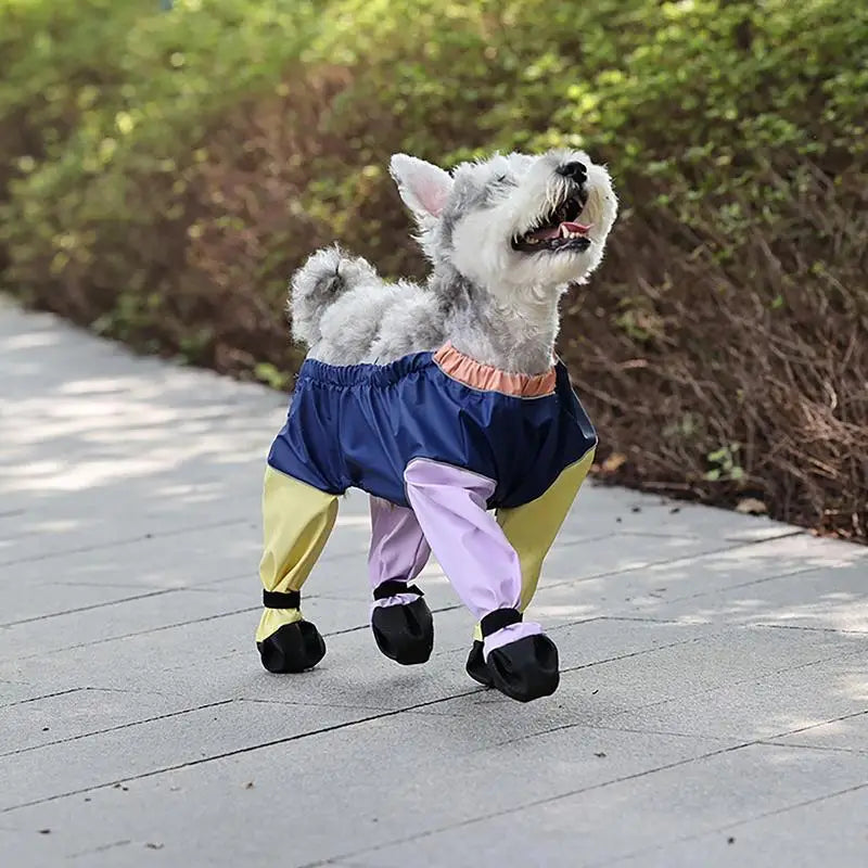 Dog Paw Boot Leggings Outdoor Dog Pants With Suspenders Waterproof Anti-slip Shoes With Adjustable Straps For All Seasons