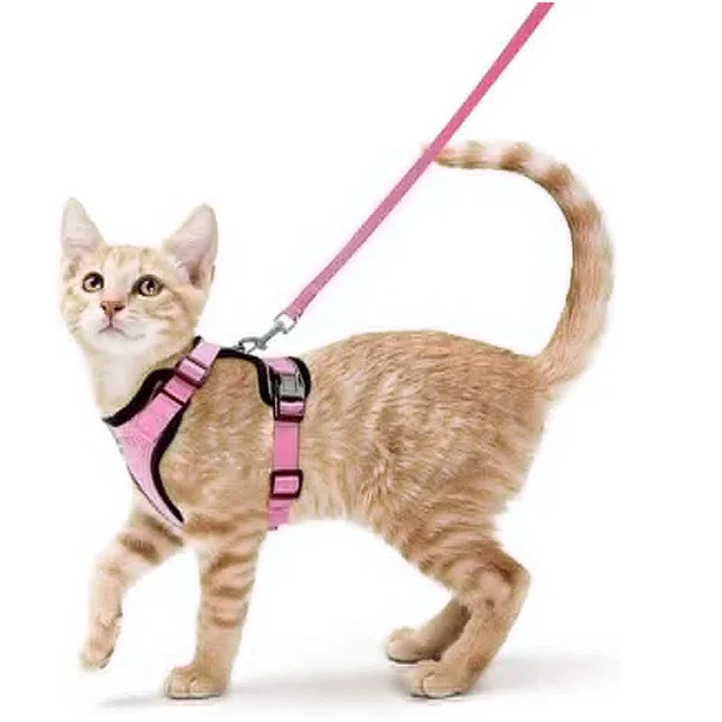 Cat Harness and Leash for Walking, Escape Proof Soft Adjustable Vest Harnesses for Cats, EasyControl Pet collar personalized
