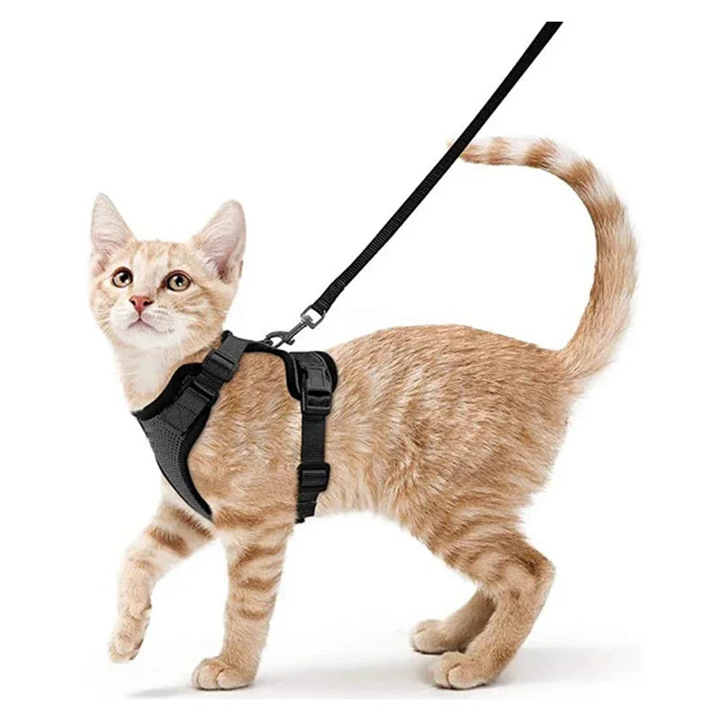 Cat Harness and Leash for Walking, Escape Proof Soft Adjustable Vest Harnesses for Cats, EasyControl Pet collar personalized