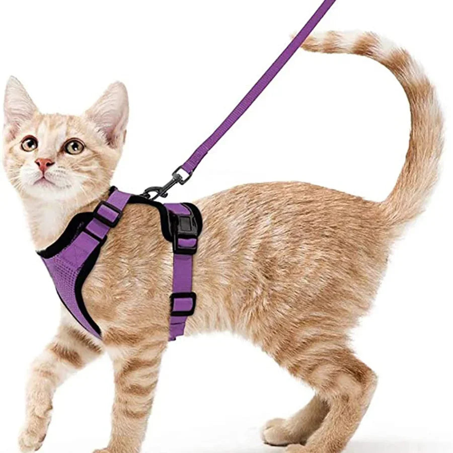 Cat Harness and Leash for Walking, Escape Proof Soft Adjustable Vest Harnesses for Cats, EasyControl Pet collar personalized