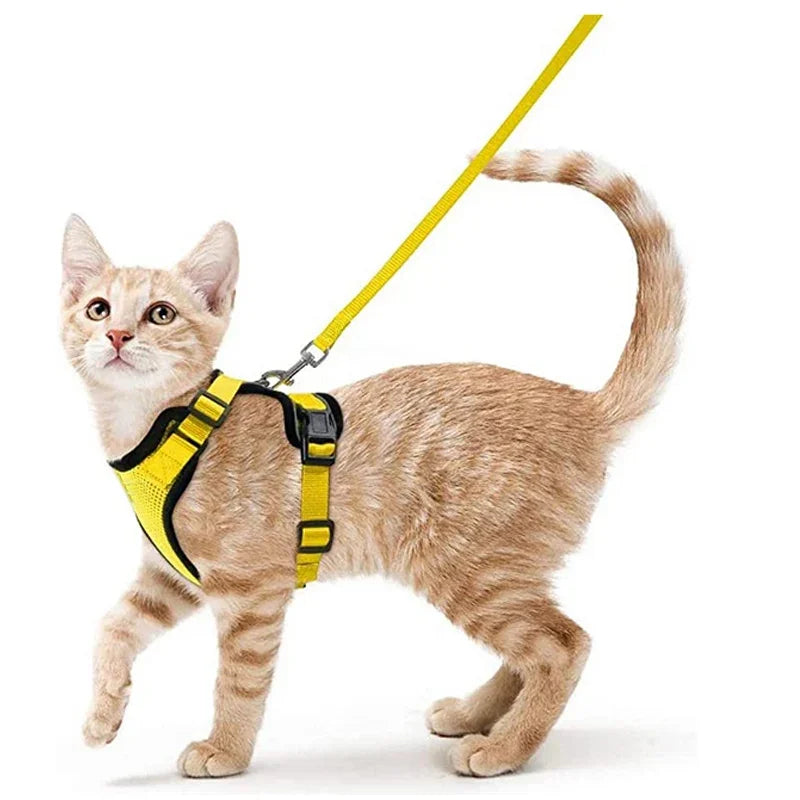 Cat Harness and Leash for Walking, Escape Proof Soft Adjustable Vest Harnesses for Cats, EasyControl Pet collar personalized