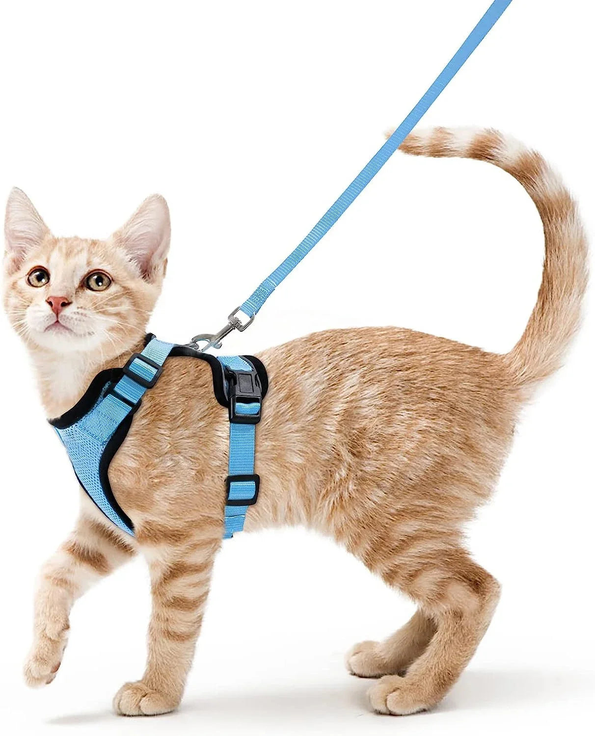 Cat Harness and Leash for Walking, Escape Proof Soft Adjustable Vest Harnesses for Cats, EasyControl Pet collar personalized