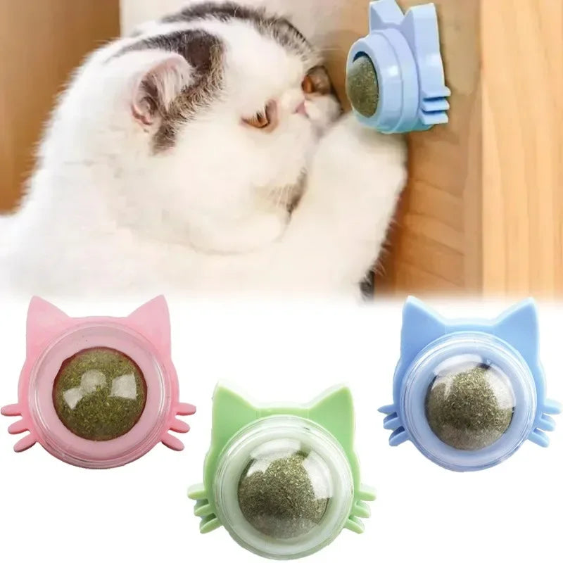 Catnip Balls Funny Lickable Dental Chew Toys for Kittens Interactive Teeth Cleaning Small Medium Cats Multi Color Pet Supplies