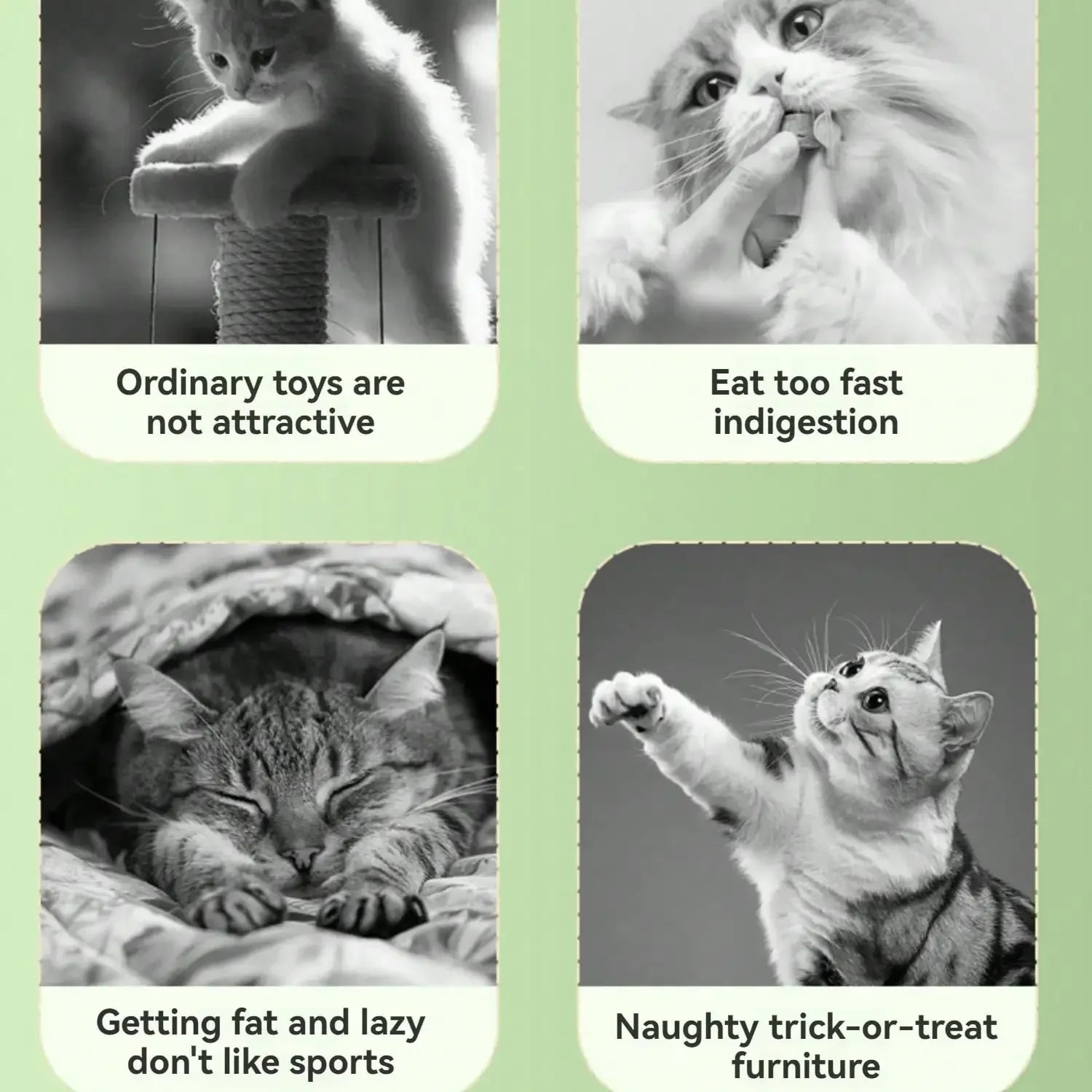 Solid Color Planet Digging Holes And Leaking Food Educational Toys Cat Snack Dispenser Interactive Cat And Dog Toys