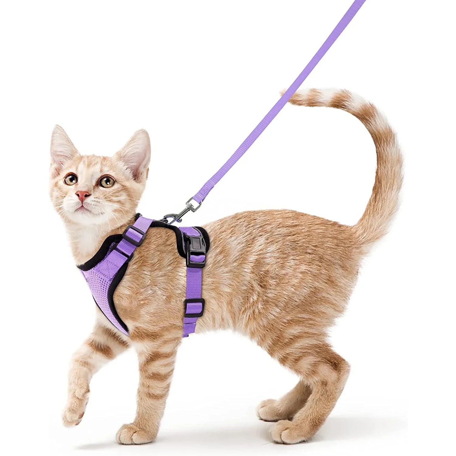 Cat Harness and Leash for Walking, Escape Proof Soft Adjustable Vest Harnesses for Cats, EasyControl Pet collar personalized