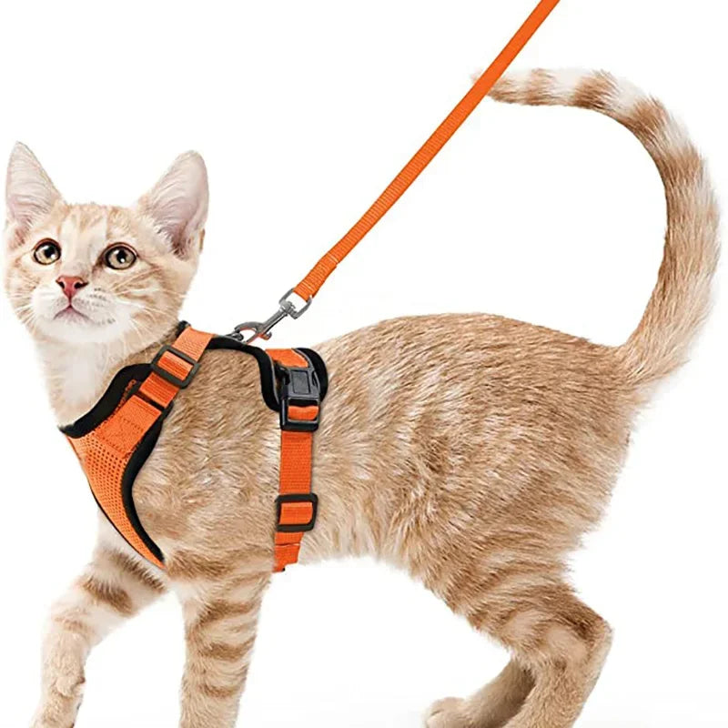 Cat Harness and Leash for Walking, Escape Proof Soft Adjustable Vest Harnesses for Cats, EasyControl Pet collar personalized