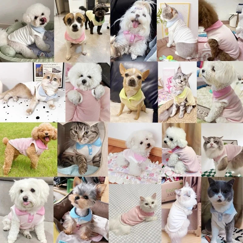 Summer Dog Polo Shirt Fashion Dog Clothes Breathable Puppy Vest Cat Solid T-Shirt Clothing Pet Vest York Chihuahua Dog Clothes