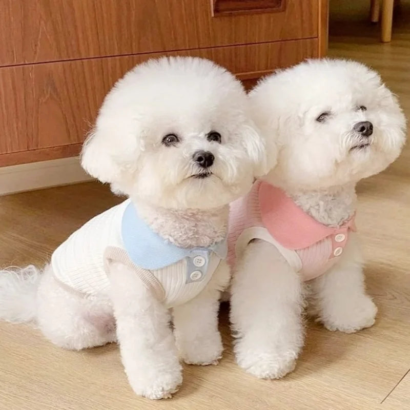 Summer Dog Polo Shirt Fashion Dog Clothes Breathable Puppy Vest Cat Solid T-Shirt Clothing Pet Vest York Chihuahua Dog Clothes