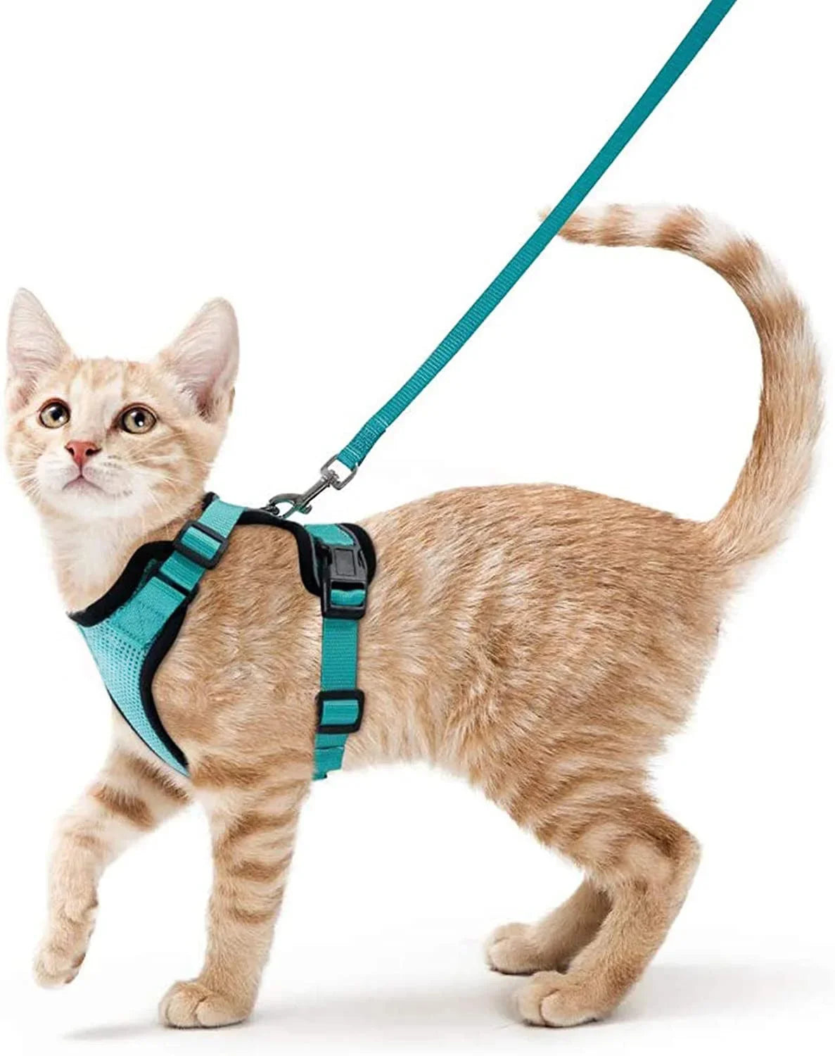 Cat Harness and Leash for Walking, Escape Proof Soft Adjustable Vest Harnesses for Cats, EasyControl Pet collar personalized