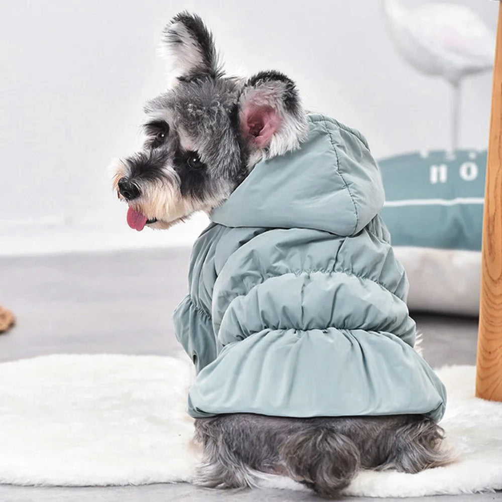 Winter Warm Dog Dress Puppy Pet Dog Coats Princess Floral Bubble Skirt Dog Cat Hooded Jacket Chihuahua Yorkie Outfit Clothing