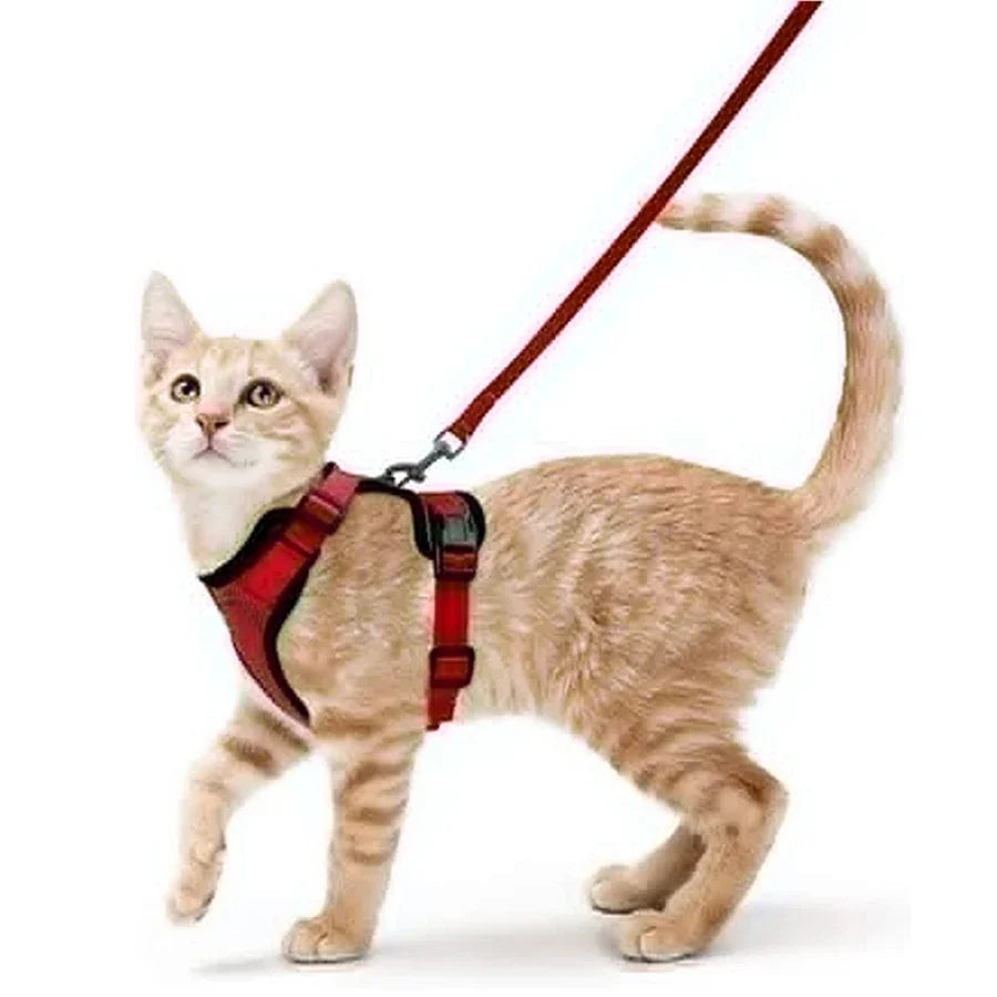 Cat Harness and Leash for Walking, Escape Proof Soft Adjustable Vest Harnesses for Cats, EasyControl Pet collar personalized