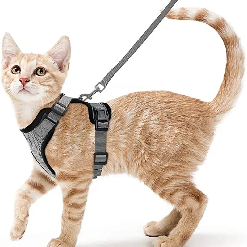 Cat Harness and Leash for Walking, Escape Proof Soft Adjustable Vest Harnesses for Cats, EasyControl Pet collar personalized