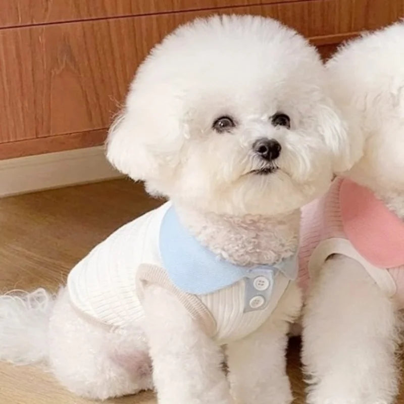 Summer Dog Polo Shirt Fashion Dog Clothes Breathable Puppy Vest Cat Solid T-Shirt Clothing Pet Vest York Chihuahua Dog Clothes