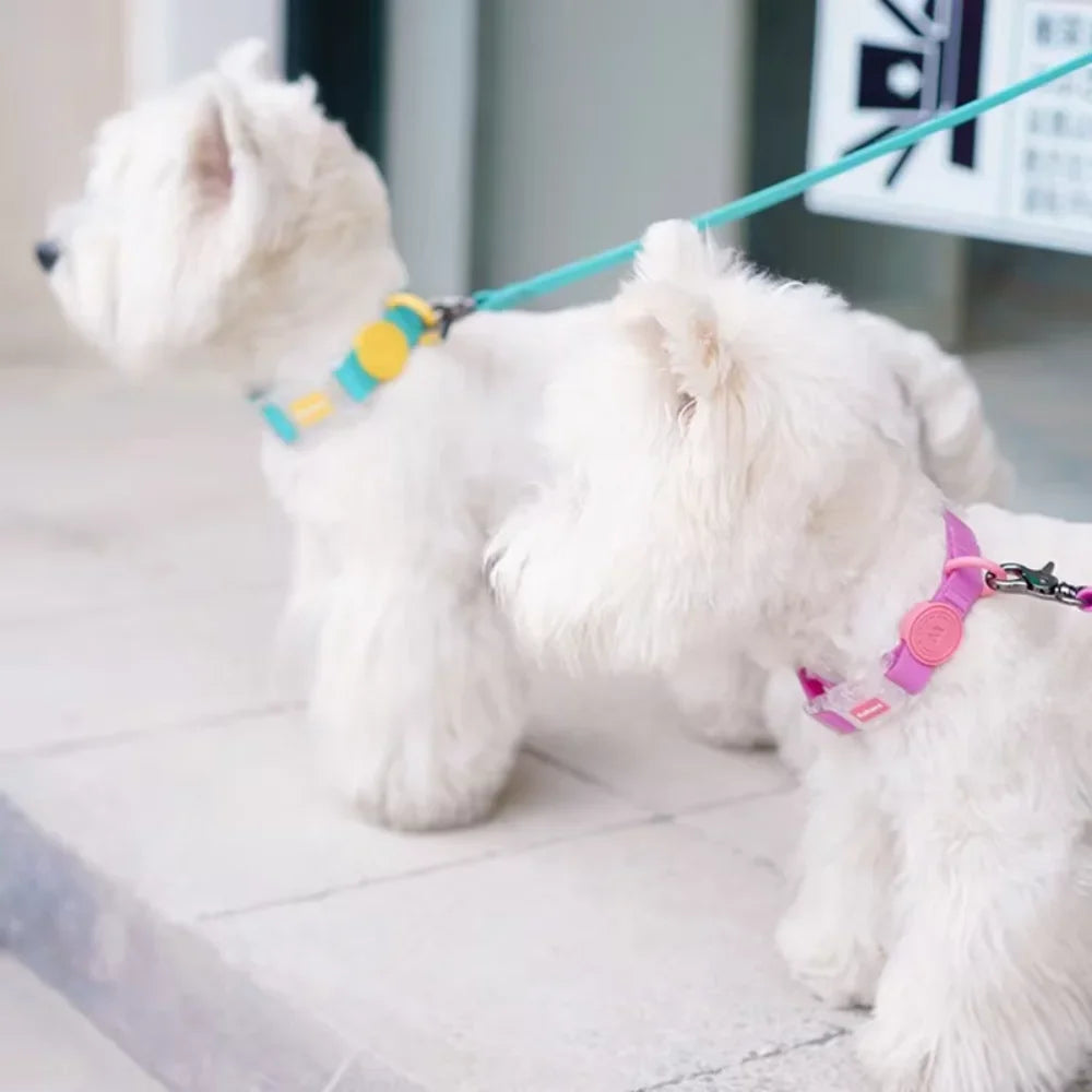 Waterproof Dog CollarsEasily Protect  pet from Moisture and Dirt  Adjusting The Size to Suit Medium, Large, and Small Dogs Pets