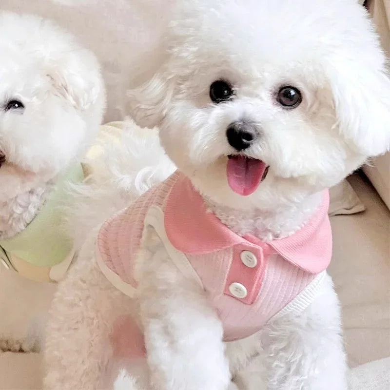 Summer Dog Polo Shirt Fashion Dog Clothes Breathable Puppy Vest Cat Solid T-Shirt Clothing Pet Vest York Chihuahua Dog Clothes