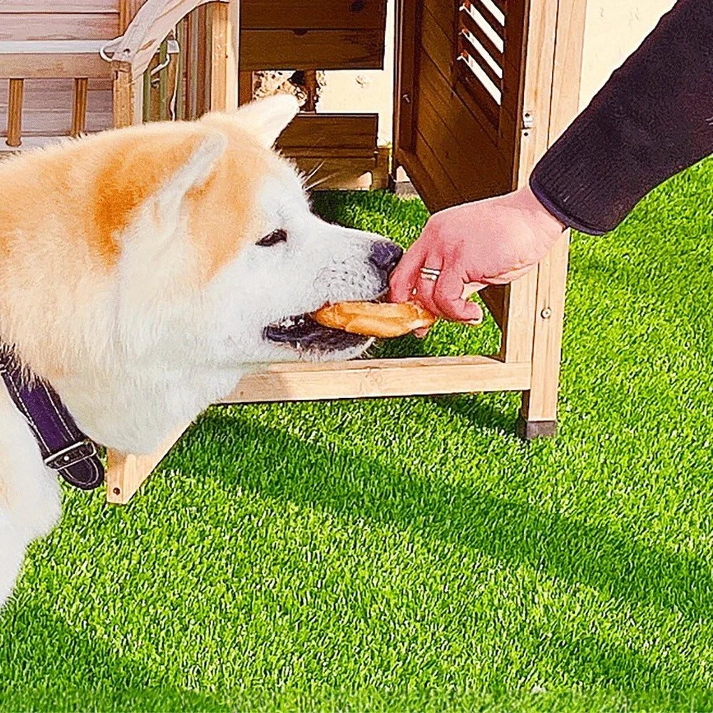 5.29oz/10.58 (150g/300g) Dog Treats Long Lasting, Rawhide Chews for Dogs, Chicken Wrapped Rawhide Donuts Ring